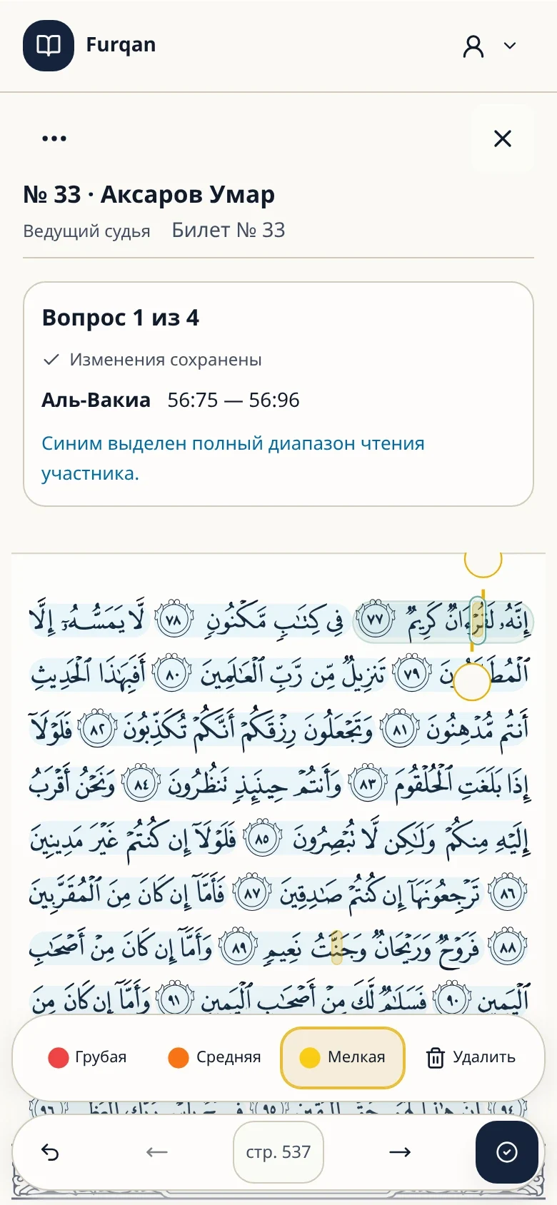 Отметки ошибок — Furqan, демонстрационные данные