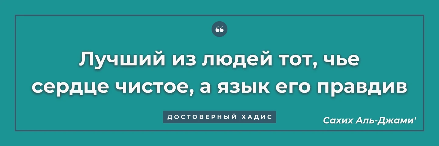 Баннер: сердце и речь